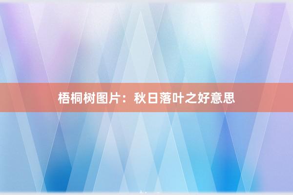 梧桐树图片:秋日落叶之好意思